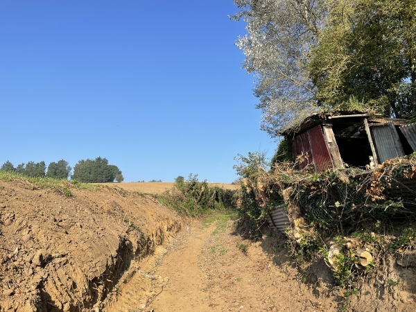 Nous quittons Martin-Eglise par ce chemin, visiblement entretenu recemment. Il y a des communes qui entretiennent leurs chemins...