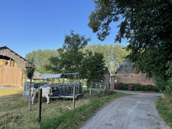 Après la ferme, nous allons tourner vers le nord sur le Chemin des Meuniers.