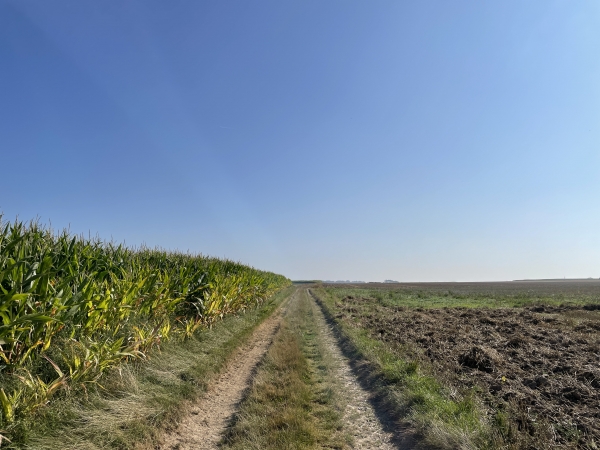 Nous passons par Grèges, et après le cimetière nous traversons la plaine agricole vers Coqueréaumont.