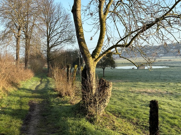 Le chemin longe la zone humide protégée de la basse vallée de l'Yères.