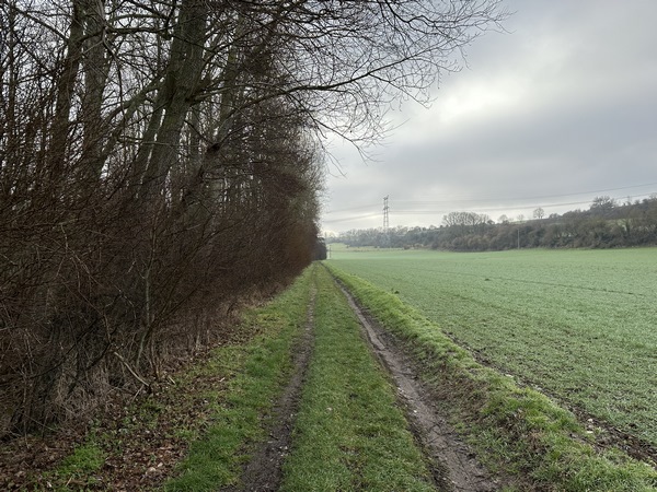 Nous avons rejoint le chemin des Marais qui va nous conduire jusqu'à Touffreville-sur-Eu. Ce circuit est constitué de chemins sur près de 90% de sa longueur.