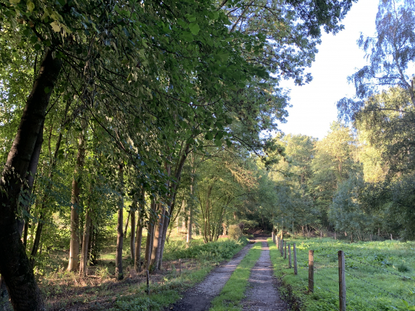 Nous avons fait le tour de Goupillières et traversons le bois du Parc.