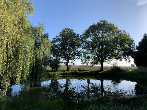 Les mares sont nombreuses le long de cet itinéraire. Celle-ci est à proximité du château de Fréville.