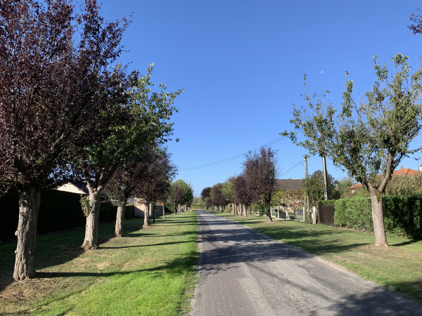 Nous sommes maintenant au Tilleul-Othon, dans la rue de la Porte de Pierre.