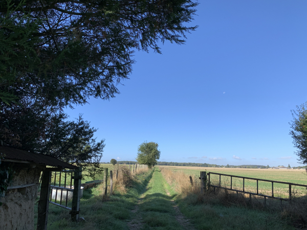 Dernier chemin avant de retrouver Goupillières.