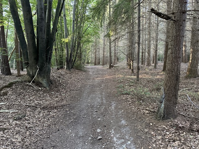 Le chemin passe dans les bois, à l'est du hameau des Bouteaux.