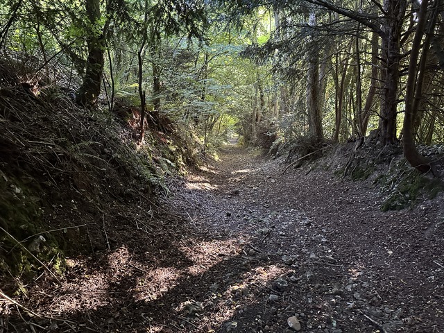 Peu après la sortie du bourg, je retrouve les chemins dans les bois. Le chemin rectiligne qui précède l'entrée dans Hecmanville est une ancienne voie romaine qui reliait Lisieux à Brionne.