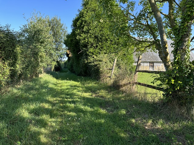 Chemin de la Butte du Moulin à Berthouville.
