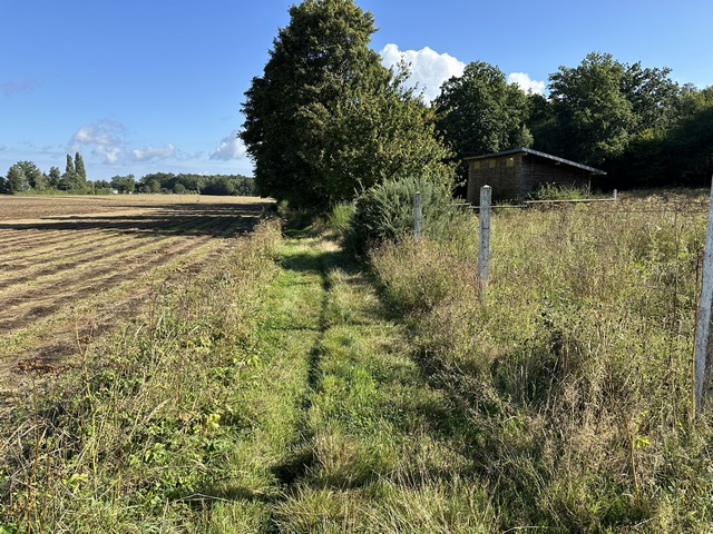Berthouville est entourée par la plaine agricole, mais les bois ne sont pas loin.