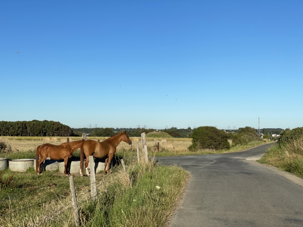 Nous sommes maintenant sur les falaises d'Amont, et marchons vers le monument Costes et Bellonte, en hommage aux vainqueurs de la traversée aérienne Paris / New York, sans escale.