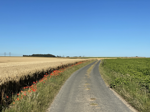 Nous marchons sur le GR21, petite route goudronnée, bien loin du bord de la falaise. Le GR21 est devenu en quelques années l'endroit de la côte d'où l'on voit le moins la mer. Les règles de sécurité nécessaires en raison de l'érosion, sont devenus des principes de précaution ubuesques.
