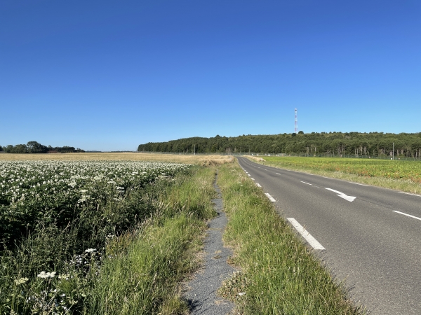 Nous suivons la D79 sur 300 mètres, sur un sentier piéton aménagé.