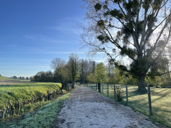 Nous partons du parking de la place de la mairie, et suivons la rue Léonard pour arriver ici, près des passerelles de l'Andelle.