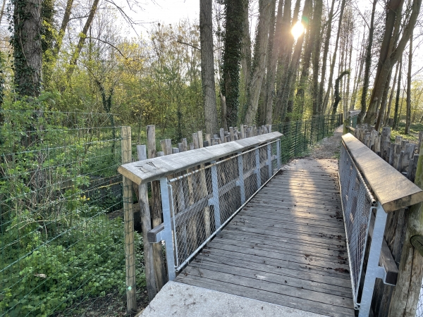 Les passerelles permettent de franchir les bras de l'Andelle, dans un environnement boisé. Attention, en période de crue, les passerelles peuvent être fermées.