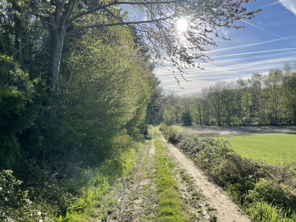 Après la ferme du Grand Thuit, nous suivons le chemin de la Maisonnette qui descend vers Ménesqueville.