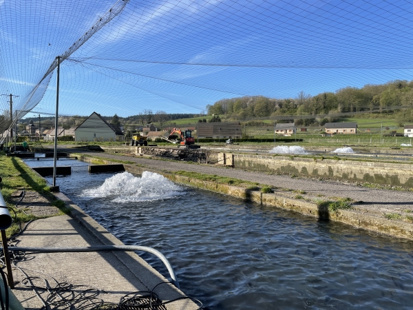 Nous suivons la rue de la Truite, et longeons la Salmoniculture de la Lieure.