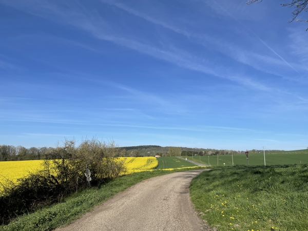 On voit, en face, la D169 que nous allons suivre sur 500 mètres pour entrer dans Charleval.