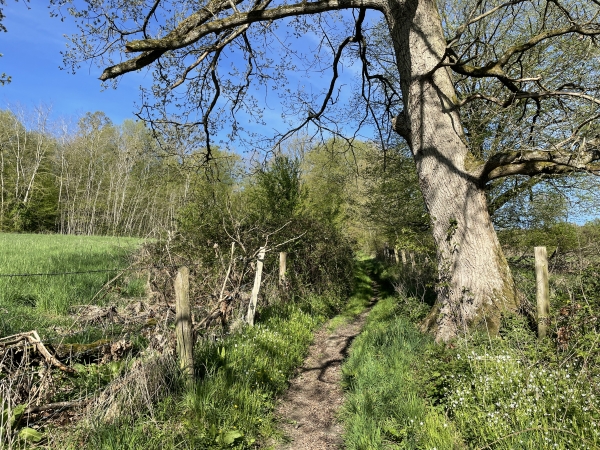 Nous quittons Charleval, et montons vers les Gournets par le chemin qui longe le bois de la Cornouilleraie.