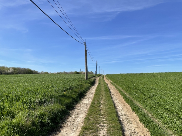 Nous traversons la plaine agricole au sud-ouest de Vandrimare, en direction de la D6014.