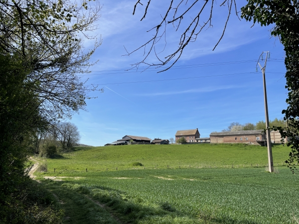 Nous arrivons au niveau de la ferme des Vaux, sur sa colline. Nous allons tourner à gauche sur le chemin du Bois de Harache.