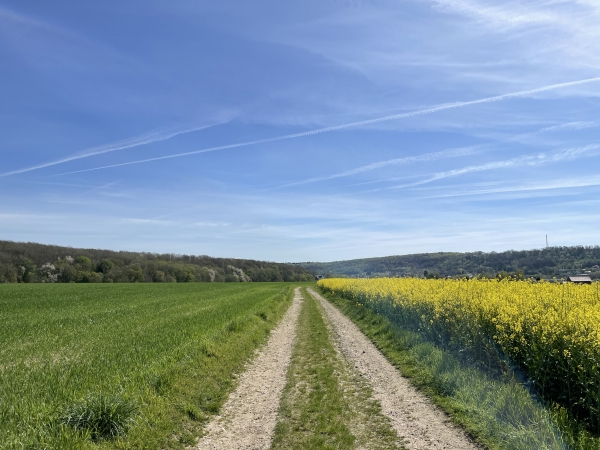 Fleury-sur-Andelle se trouve droit devant, peu après la sortie du chemin.