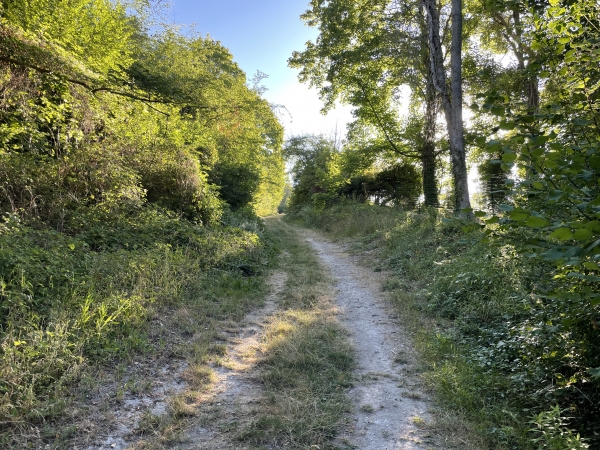 Nous montons maintenant la Côte du Mesnil.