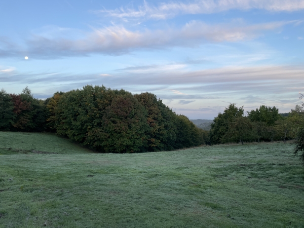 Nous partons du parking du centre de loisir de Mont-Saint-Aignan. Pour trouver le premier chemin, il suffit de suivre le sens de la descente.