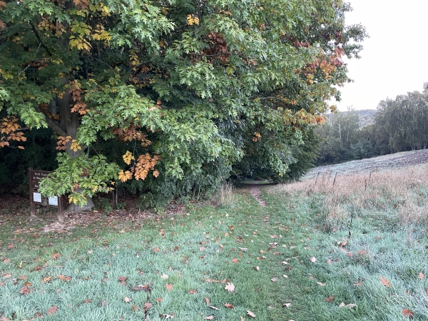 Nous entrons dans la forêt communale de Mont-Saint-Aignan. Nous allons la traverser pour trouver la forêt domaniale Verte.