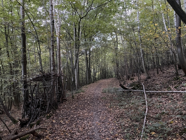 Nous sommes arrivés sur le chemin du Chasse-Marée qui avance près de la lisière du bois Saint-Gervais.