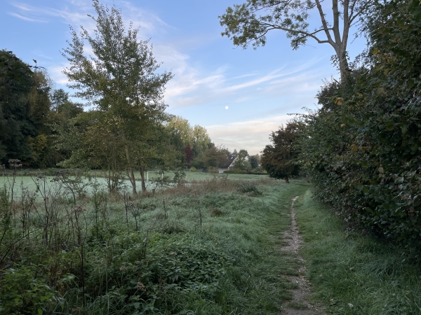 Toujours sur le chemin du Chasse-Marée, nous entrons dans Notre-Dame-de-Bondeville, dont on distingue les premières maisons.