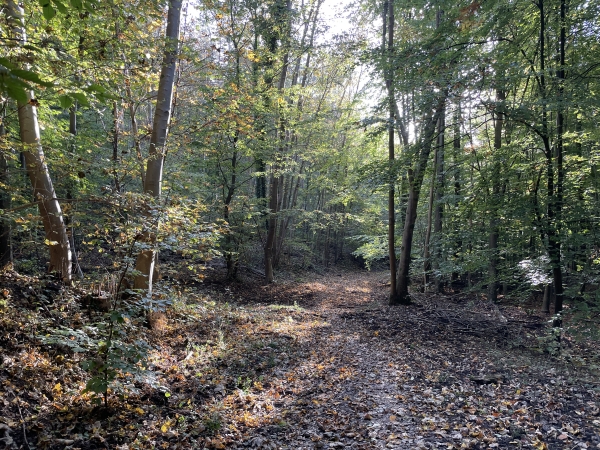 Le GR210 nous a rejoint près de Houppeville. Nous le suivons vers le sud.