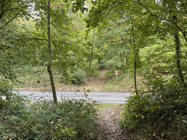 Nous retrouvons la route des Longs Vallons (D66). Nous allons la traverser pour continuer en face. La Forêt Verte est vallonnée, en particulier ici, avec cette vallée sèche qui la traverse d'est en ouest et que suit la D66.