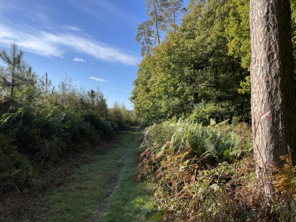 Nous quittons le GR210 pour aller chercher le chemin du Val Allard.