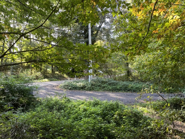 Nous avons suivi le chemin du Val Allard, puis longé le bois Saint-Gervais pour arriver ici au niveau de la D121. Nous allons prendre le chemin à droite. Il est publique dans la partie que nous allons suivre, contrairement à ce que pourrait laisser penser la boite aux lettres de la ferme Saint-Gervais.