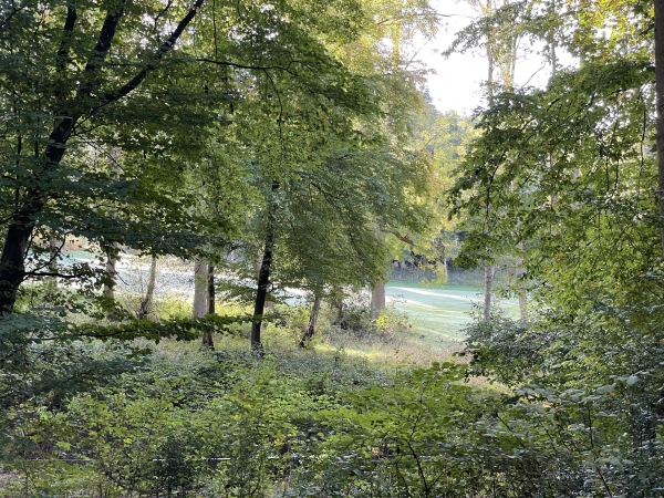 Nous longeons le golf de Mont-Saint-Aignan, à peine visible en cette saison, derrière la végétation.