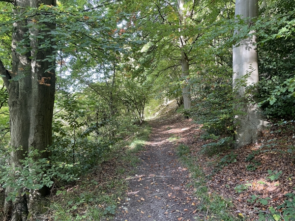 Nous sommes sur le chemin du Chasse-Marée, nous allons bientôt fermer la boucle et tourner vers le Centre de Loisirs de Mont-Saint-Aignan.
