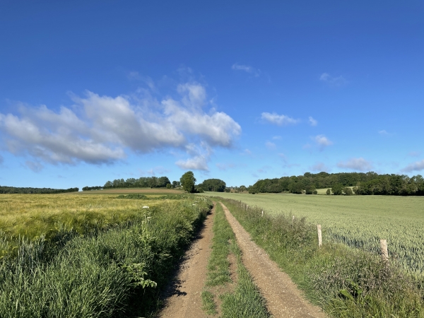 Après 800 mètres, nous trouvons notre premier chemin, le chemin du Moulin à Vent. Ironie de l'histoire, il va bientôt justifier à nouveau son nom avec un projet d'éoliennes...