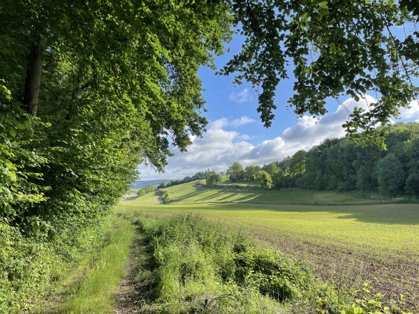 Les chemins se succèdent entre les vallons cultivés et les coteaux boisés.
