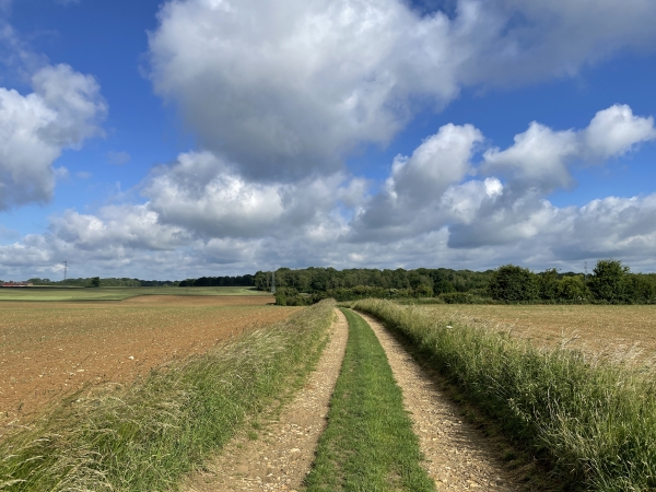 Nous suivons maintenant ce chemin qui porte un nom de route : la route du Tilleul.