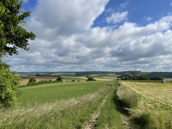 La route du Tilleul avance sur la crête.