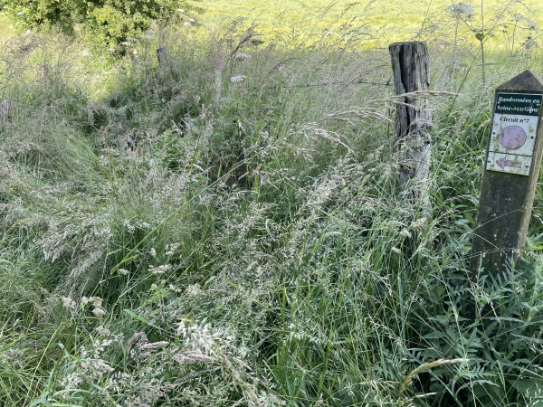 Le circuit officiel continue vers Portmort, mais le chemin n'est plus praticable, nous tournons vers le chemin du Bois Villers.