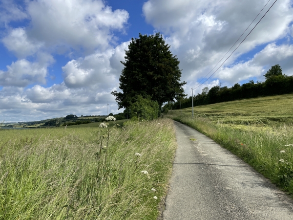 Nous rejoignons la route de l'Hermitage qui va nous guider jusqu'à Flamets-Fretils.