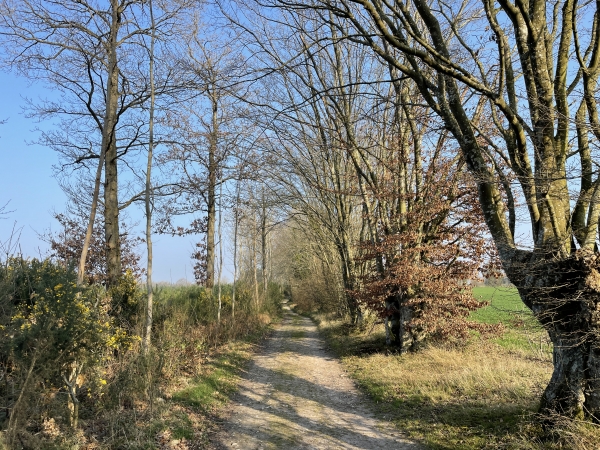 Avant d'atteindre les Cabots, nous tournons vers le nord-ouest, pour suivre le GR224 et rester en lisière du bois de Cany.