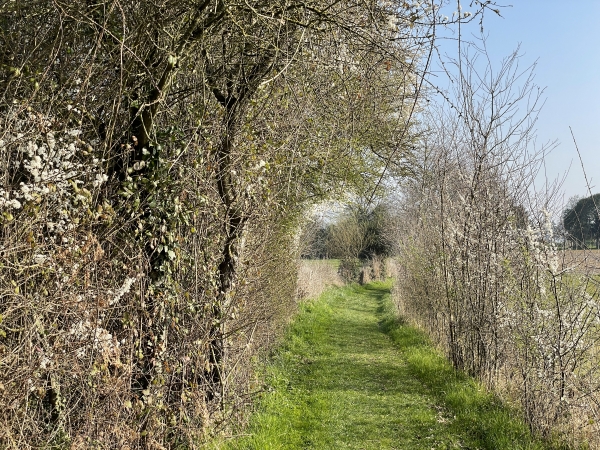 Nous sommes fin mars, et le printemps ajoute sa touche au plaisir de la randonnée.