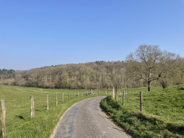 Nous descendons la route du Quesney pour rejoindre le bois de Saint-Laurent en face.