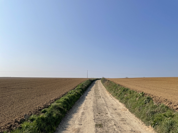 Nous traversons le plateau agricole des Longs Champs, jusqu'au village de Saint-Laurent.