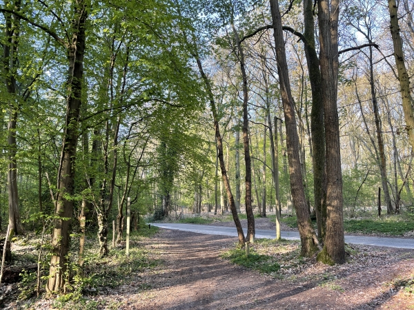 Nous rejoignons la route d'Ymare. Aucun souci avec cette route, elle est déserte, les voitures sont sur la D6015.