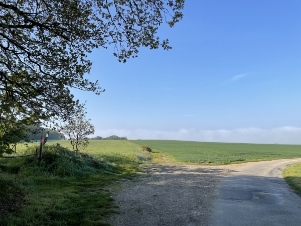 Nous quittons la route d'Ymare pour suivre, devant nous, le chemin de Devise.