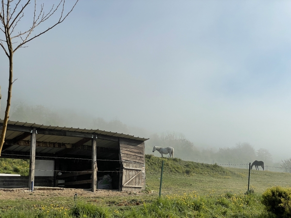 Nous avons rejoint la charmante rue de la Garenne à Alizay.