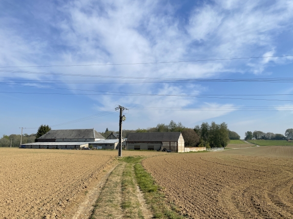Les bois s'ouvrent sur la clairière de la ferme du Solitaire.